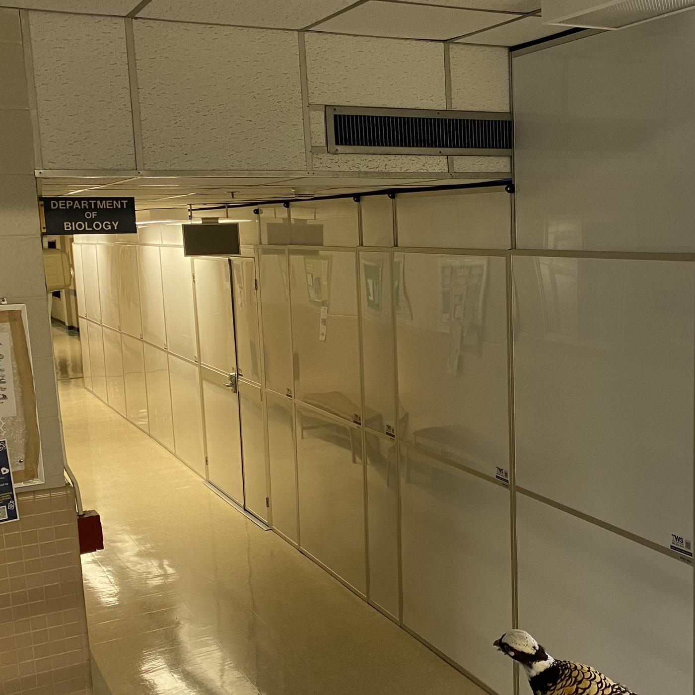 UCO Howell Hall Renovation